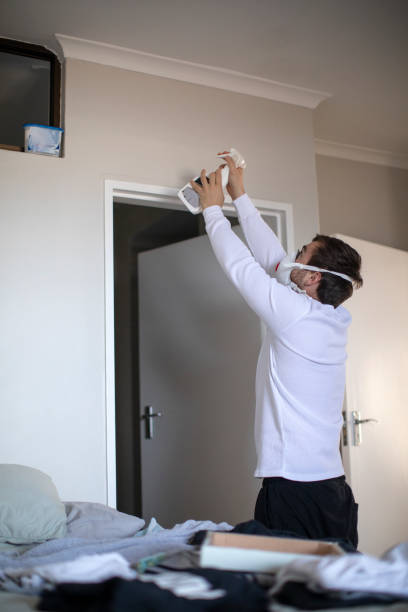 Environmental Consulting for Mold Prevention in Ephraim, UT
